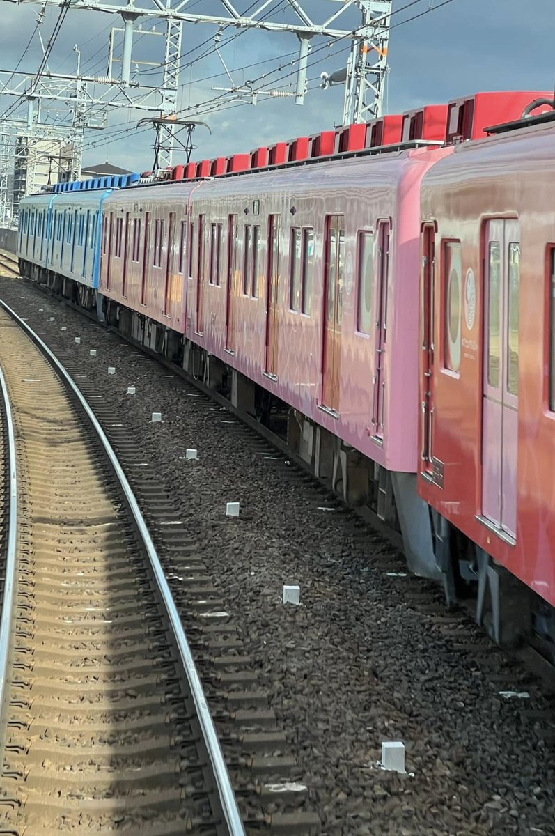 岸和田 ミッキー(ウッディーウッドペッカー)(たまにD垢)🐭さかなクン