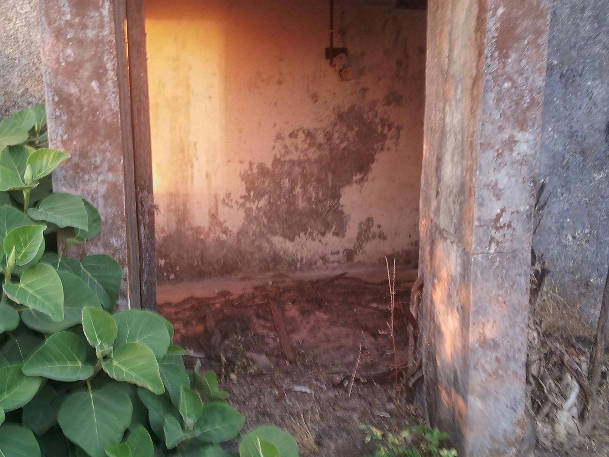 احيانا تتناثر الافكار في داخلي كأوراق بعثرها الريح
كلمات لم تكتمل، وذكريات ترفض ان تنام.
احاول لملمتها، لكن كل فكرة تأخذني الى طريق مختلف
طريق محفوف بالحنين، وآخر مغموس بالوجع
كم هو صعب ان تضع ما بداخلك في جملة واحدة
ان تمسك بما لا يمسك، ان تفسر ما لا يقال
ربما الخواطر المبعثرة