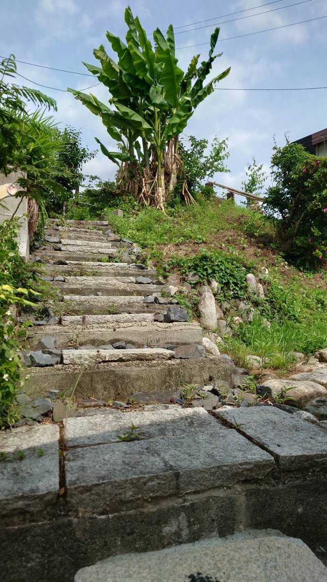 現役レイヤー＆カメラマンのガチな理想
詰め込みイベント第3弾決定！！
新年初イベント！！！

【開催日】
令和8年1月17日(土)

【場所】
・ツインビーテラスひさかた
　他もあるかも…？

✴️夜開催も準備中！
✴️当日TV局が入るかもしれません！
✴️撮影エリア拡大？！

詳細は後日！