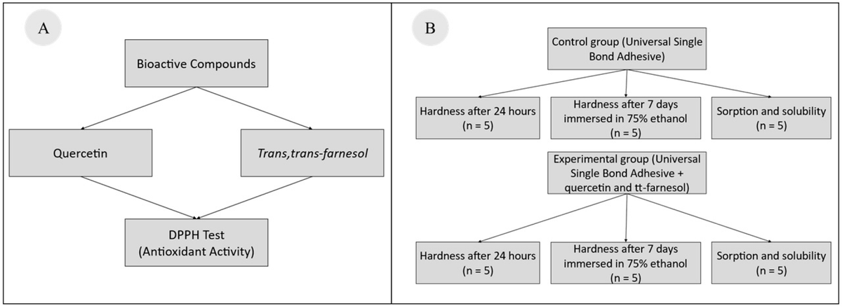 AdhesivesMDPI's tweet photo. 🚀 New in Adhesives!

“Influence of Quercetin and tt-Farnesol Enrichment on Physicochemical Properties of a Universal Adhesive System” 🦷✨

🔗 https://t.co/QPkHU5ckHs

#DentalMaterials #Dentistry #OralHealth #Research #OpenAccess #MDPI https://t.co/cKSkwXs9n1