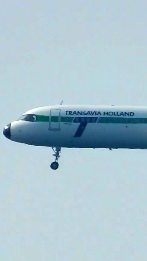 LebanonJets's tweet photo. #RetroJet @transavia #PHYHD #A321neo from Amsterdam to Beirut nice treat for a route that only resumed last week
@frankfol https://t.co/K6kpafbRT0