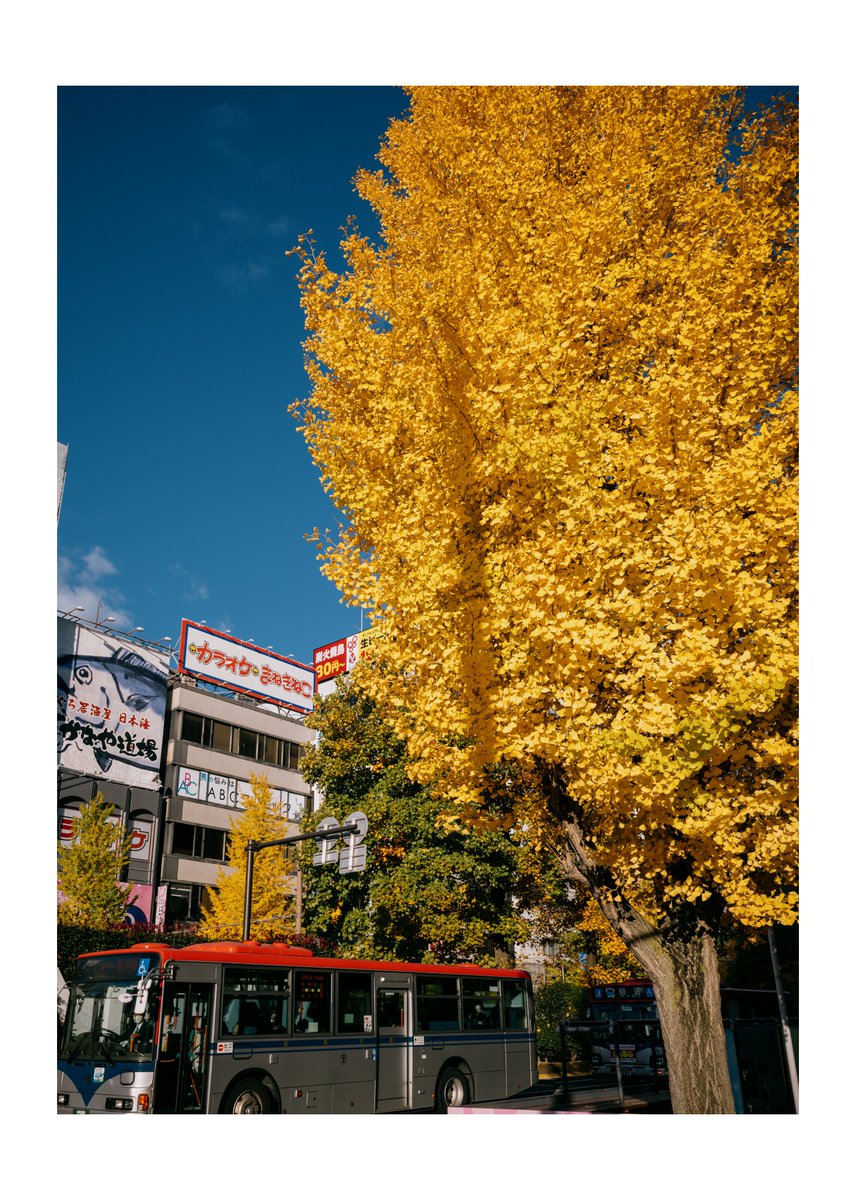 hirokiPhoto (@hirokiphoto1) on Twitter photo 