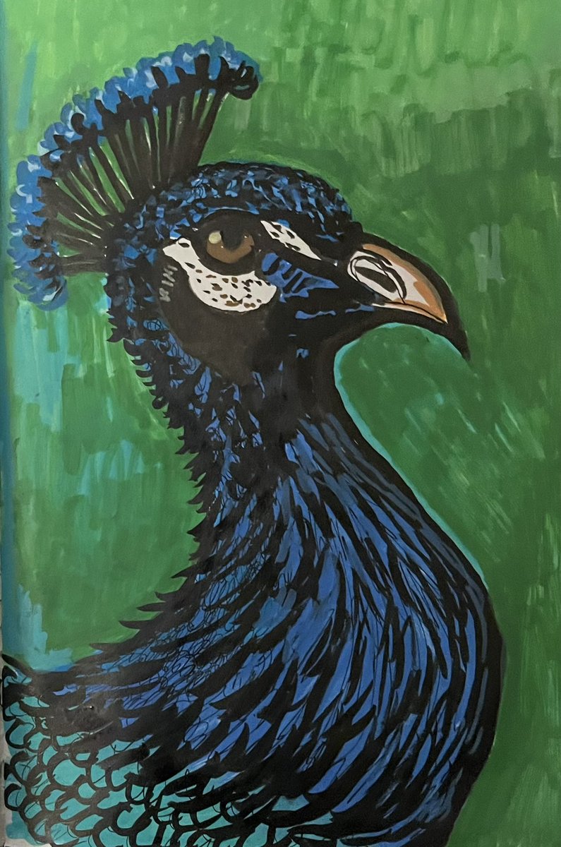 #peacock