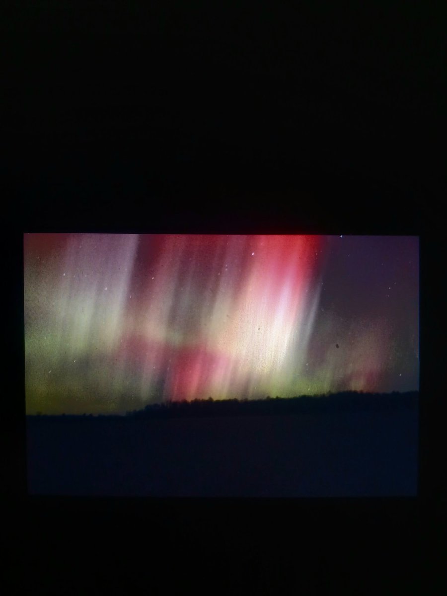 Justin Phillips tweet media