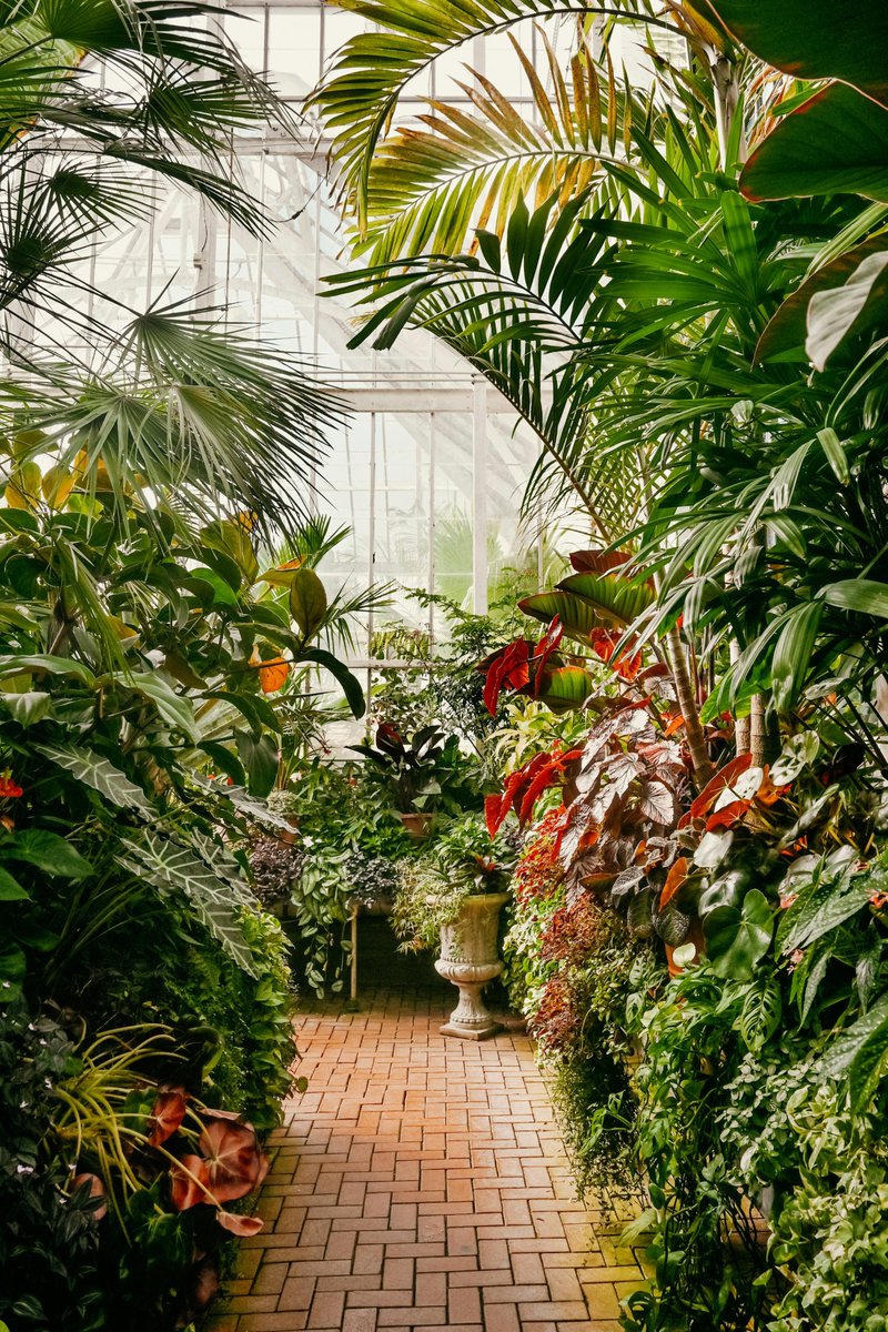 fuzzybeedecor1's tweet image. With today&apos;s uncertainties......What if........? Well, I &quot;think&quot; I could! 🐝🐝

fuzzybeedecor.com

#greenhouse #grower #plants #accents #herbals #veggies #mystyle #decor