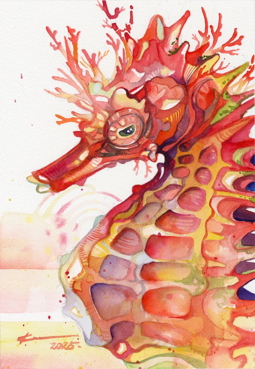 マツダケン　原画(タコ) マツダケン 原画(タコ)