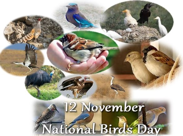 rg_gan's tweet photo. On #NationalBirdDay, we pledge to save endangered bird species. Human activities are the primary cause of bird extinction. Human-caused radiation pollution and deforestation are contributing to the extinction of bird species. #SaveBirdsServeNature https://t.co/vxfoMX84G8