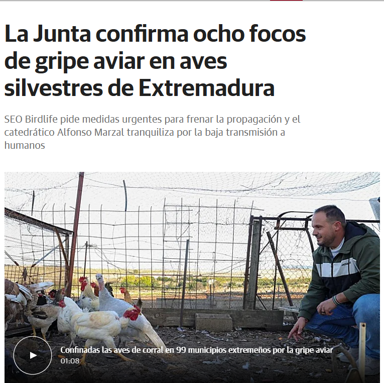 📰El experto en Enfermedades Zoonóticas Emergentes <a href="/AlfonsoMarzal/">Alfonso Marzal</a> de <a href="/infouex/">UEx</a>  <a href="/Ciencias_Uex/">Facultad de Ciencias</a>, sobre los recientes focos de gripe aviar en Extremadura <a href="/hoyextremadura/">Diario HOY</a>  

hoy.es/extremadura/ju…