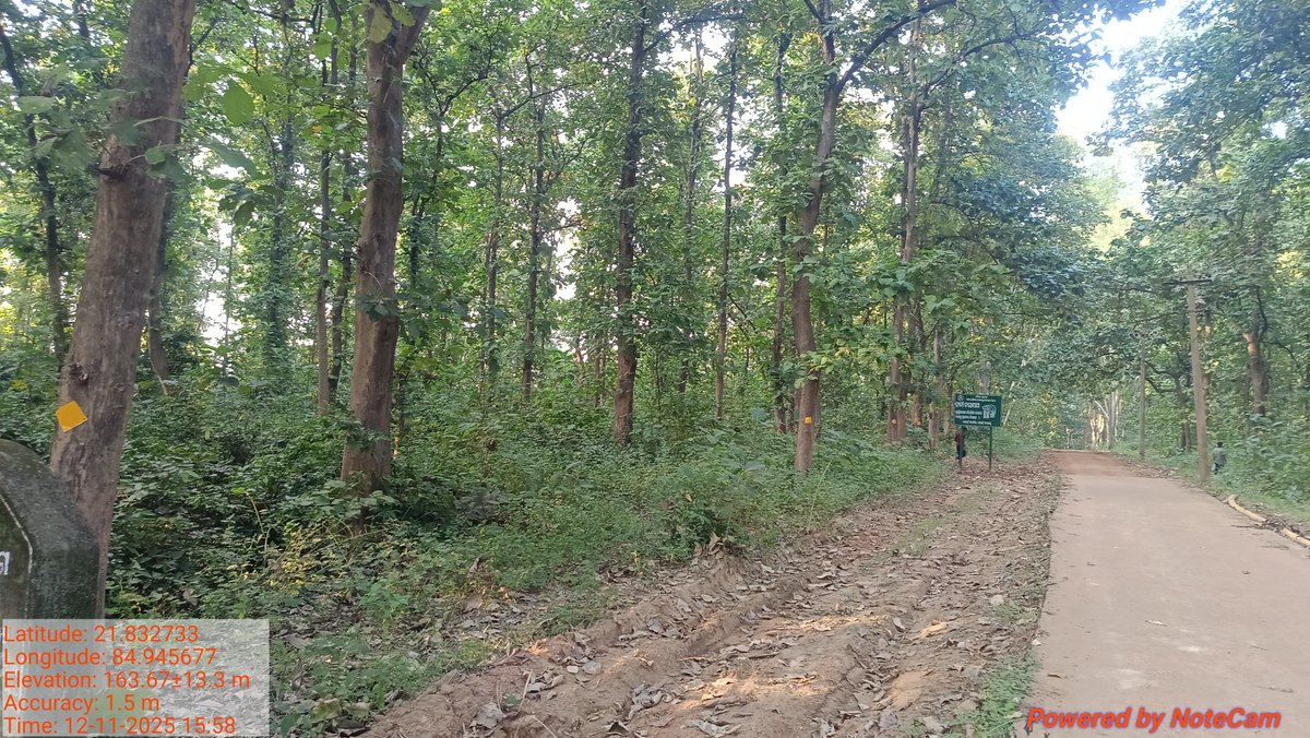 DfoBonai's tweet image. Field staff fixed #reflective tapes at Sundhikon RF of Bonai Beat, Bonai Section, #Bonai Range as part of mitigation measures under #HEC initiative. 🌿🐘
#BonaiForestDivision #Anukampa #HEC #ElephantConservation
@pccfodisha 
@Prem_CWLWOdisha 
@RourkelaRc79045