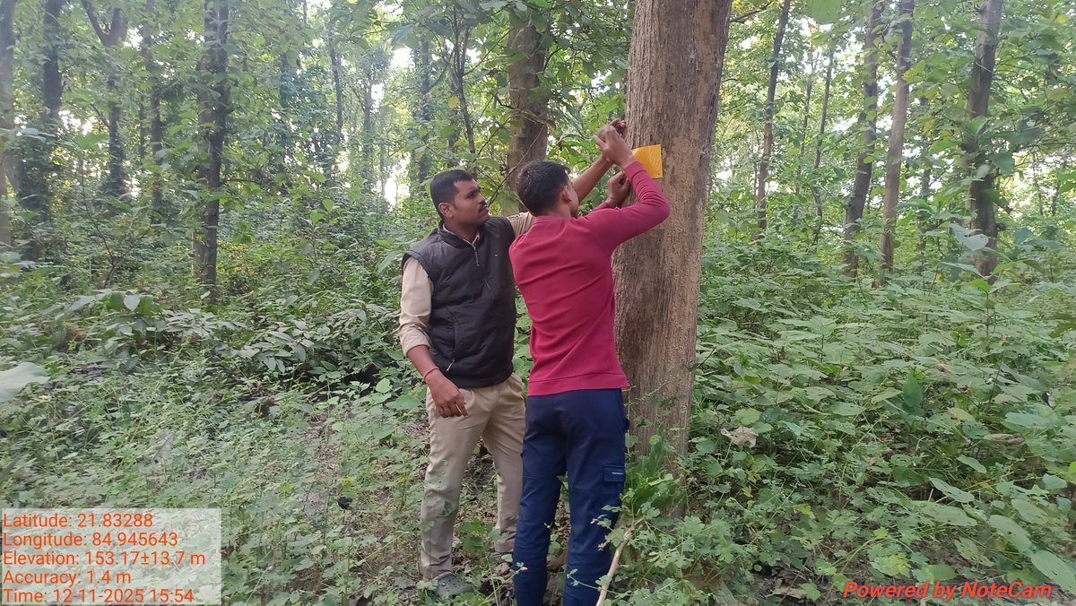 DfoBonai's tweet image. Field staff fixed #reflective tapes at Sundhikon RF of Bonai Beat, Bonai Section, #Bonai Range as part of mitigation measures under #HEC initiative. 🌿🐘
#BonaiForestDivision #Anukampa #HEC #ElephantConservation
@pccfodisha 
@Prem_CWLWOdisha 
@RourkelaRc79045