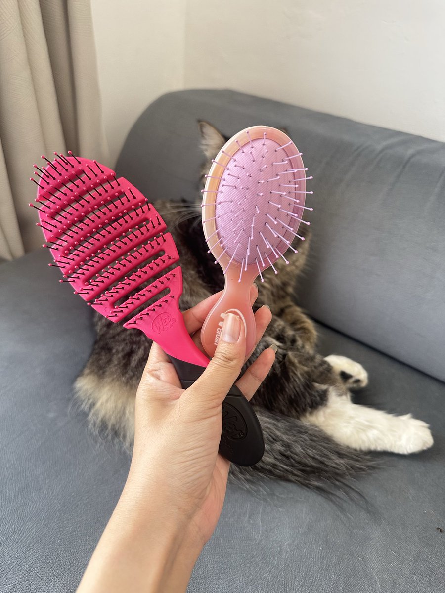 adayoflay's tweet photo. Rambut aku tuh tipis dan rapuh banget, kalau nyisir pasti banyaak rambut yang kebawa 😭😭😭. Sampe akhirnya direkomendasiin temen buat ganti sisir dari wet brush. 

Dan… beneran jadi gak takut nyisir lagi weh. 

https://t.co/BDNI0RRFRh https://t.co/Soy9FOvSYU