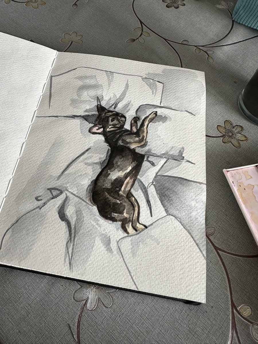 Watercolour sketch in sketchbook “Lazy day”