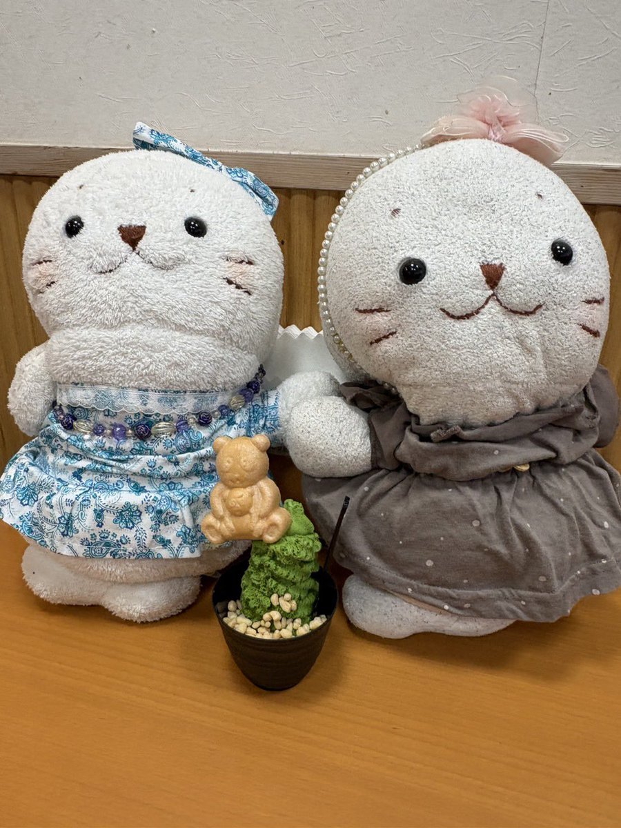 noko_4646's tweet photo. 浅草で食べ歩き♪
どれも美味しかったきゅ♪
#しろたん https://t.co/SHXvo66Hv9