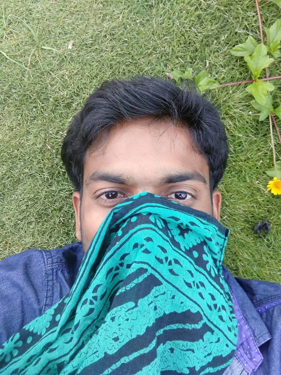 ఔను వాళ్లిద్దరూ ప్రేమలో పడ్డారు

#GreenTwitter