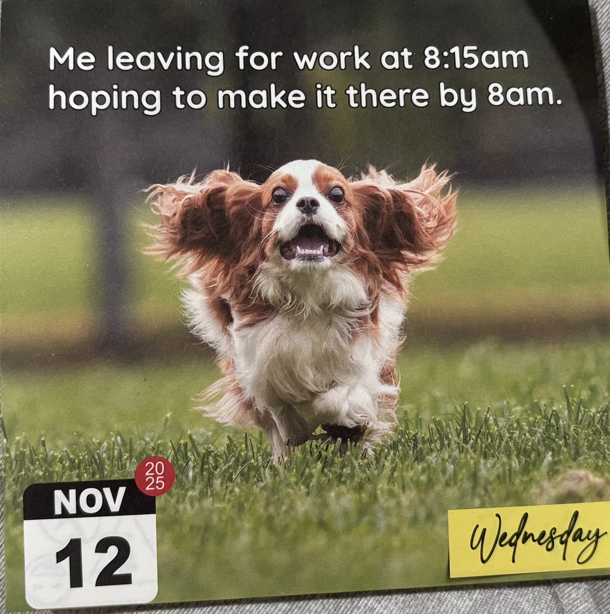 Matt (@jacobs329) on Twitter photo 