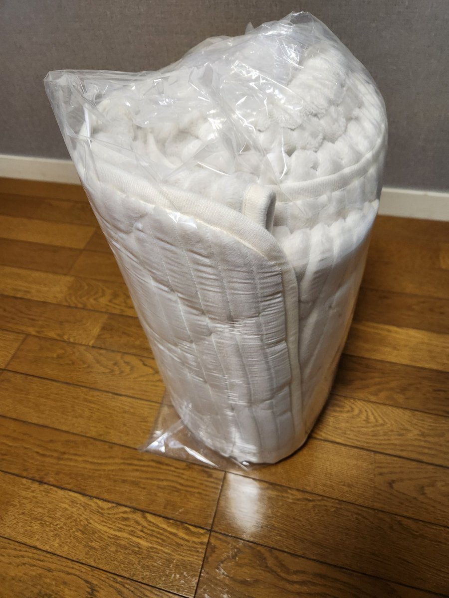 くまっち (@kumacchi4649) / Posts / X