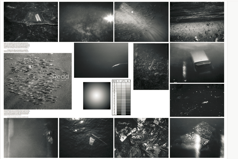 gaelicfields's tweet photo. Things are moving ahead in preproduction of Redd. Wet proofs of the final book will completed this week.
Pre-orders of the work are still open. The response has been humbling:https://t.co/biFcneIjyE #photobook #wetproofs #blackandwhite #fineart #kickstarter #ireland #analogue https://t.co/BbsXAZJuMi