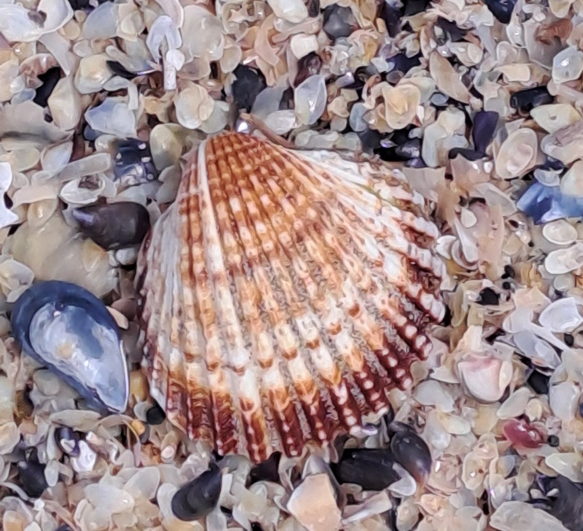 over (@over248) on Twitter photo 