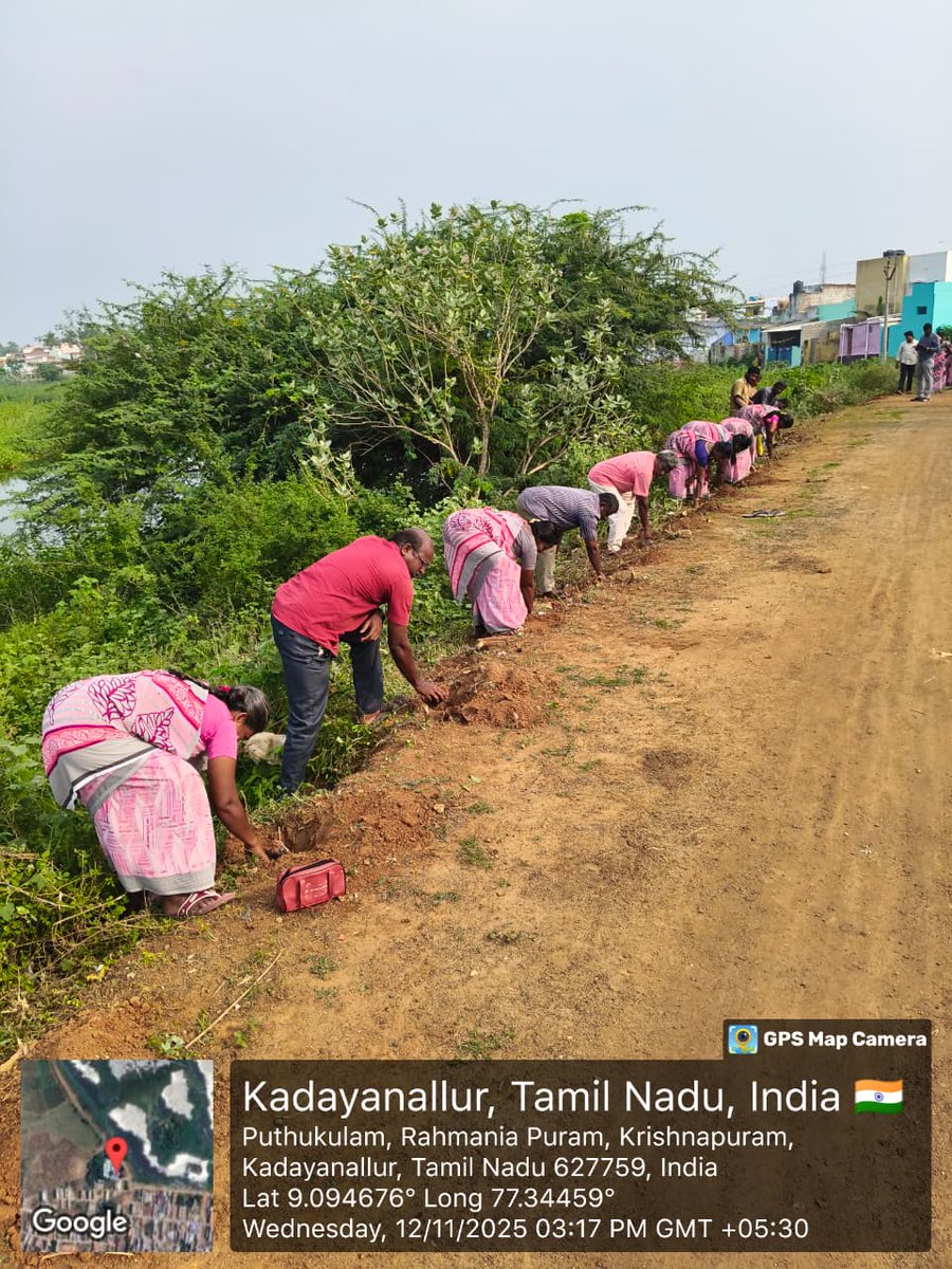 commissionerkd1's tweet photo. Kadayanallur municipality Conducted Palmyra tree plantation at pudhukulam pond
#SHS2025, #SwachhataHiSeva2025  #Swachhotsav
 @MAWSTamilNadu @SwachhBharatGov @SbmRdmaNellai @SwachhBharat @MoHUA_India @MoJSDDWS https://t.co/ffnh7p3aYr