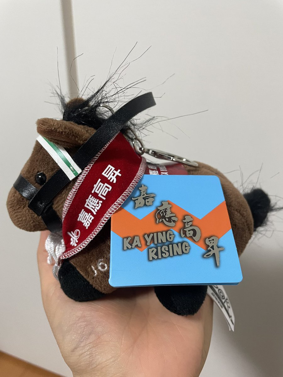 [香港発売]カーインライジング　ぬいぐるみ BlueBullet_Inc さんから、当選したカーインライジングのぬいぐるみ(小