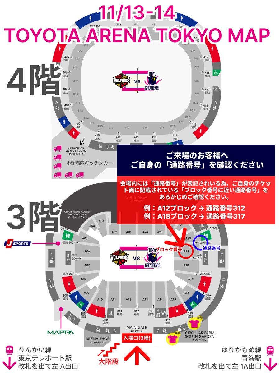東京グレートベアーズ tweet media