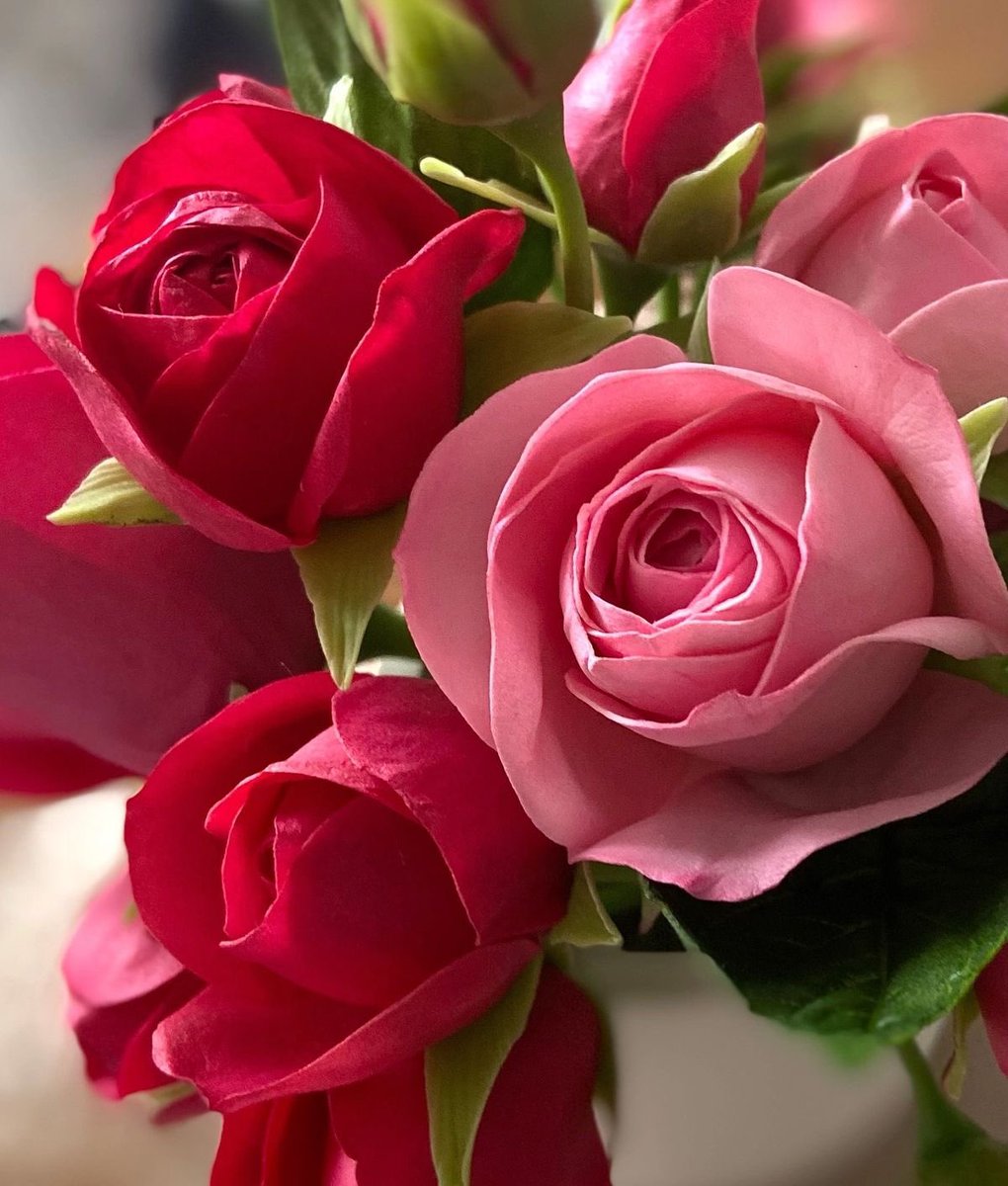 بعض البشر حتى حروف اساميهم مُرّة