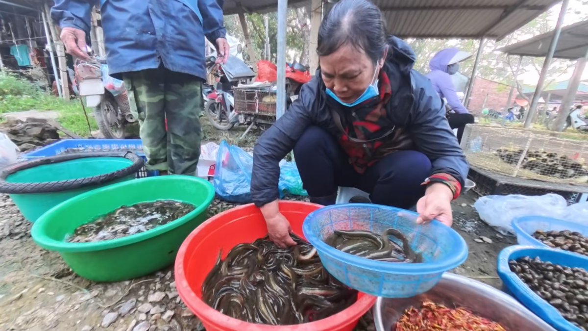 hungndict's tweet photo. ust 30 kilometers from the heart of Hanoi, Nua Market in Binh Phu commune, Thach That district, still preserves the rustic beauty and authentic atmosphere of Northern Vietnam’s countryside. https://t.co/D8BZnm4tRD