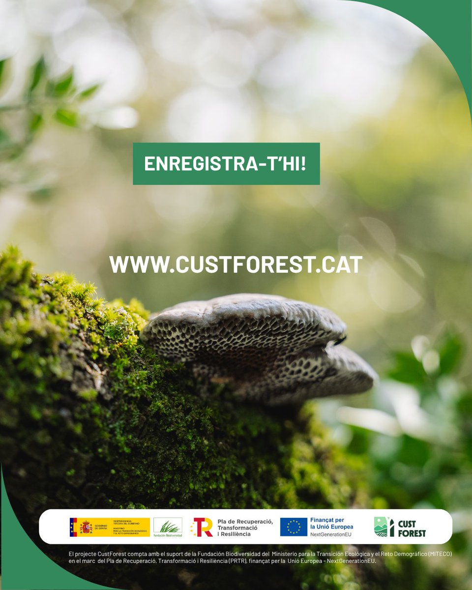 CustForest tweet media