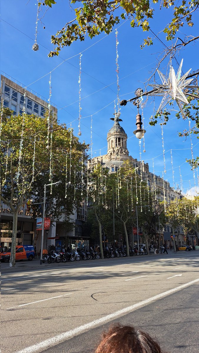 12 de novembre, màniga curta