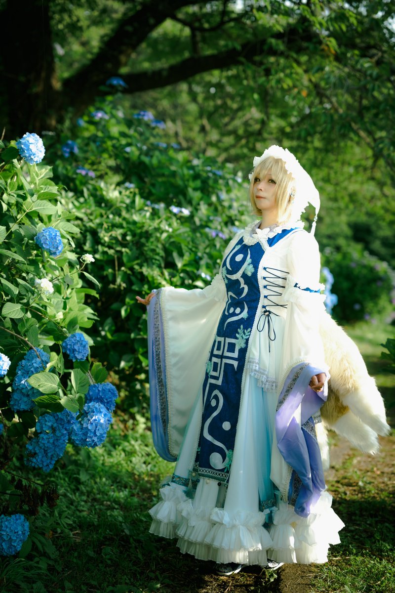 sachi699's tweet image. 紫陽花ロケの写真!東方の藍さま
綺麗に撮ってもらったので沢山掲載してます！
同じ方向向いてるけど多分これ光のある方向いてるw
撮影khakiさん（ @khaki_6132 )