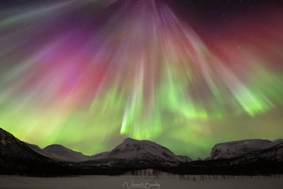 RealBuzzNow's tweet image. ✨ Witness the Magic of the Northern Lights! 🌌
Colors dancing across the northern sky — nature’s most stunning light show! 💚💜💙
Don’t just dream it, experience it now 👉 titly.pro/87lFe

#NorthernLights #AuroraBorealis #TravelGoals #NatureMagic #SkyLovers #Adventure