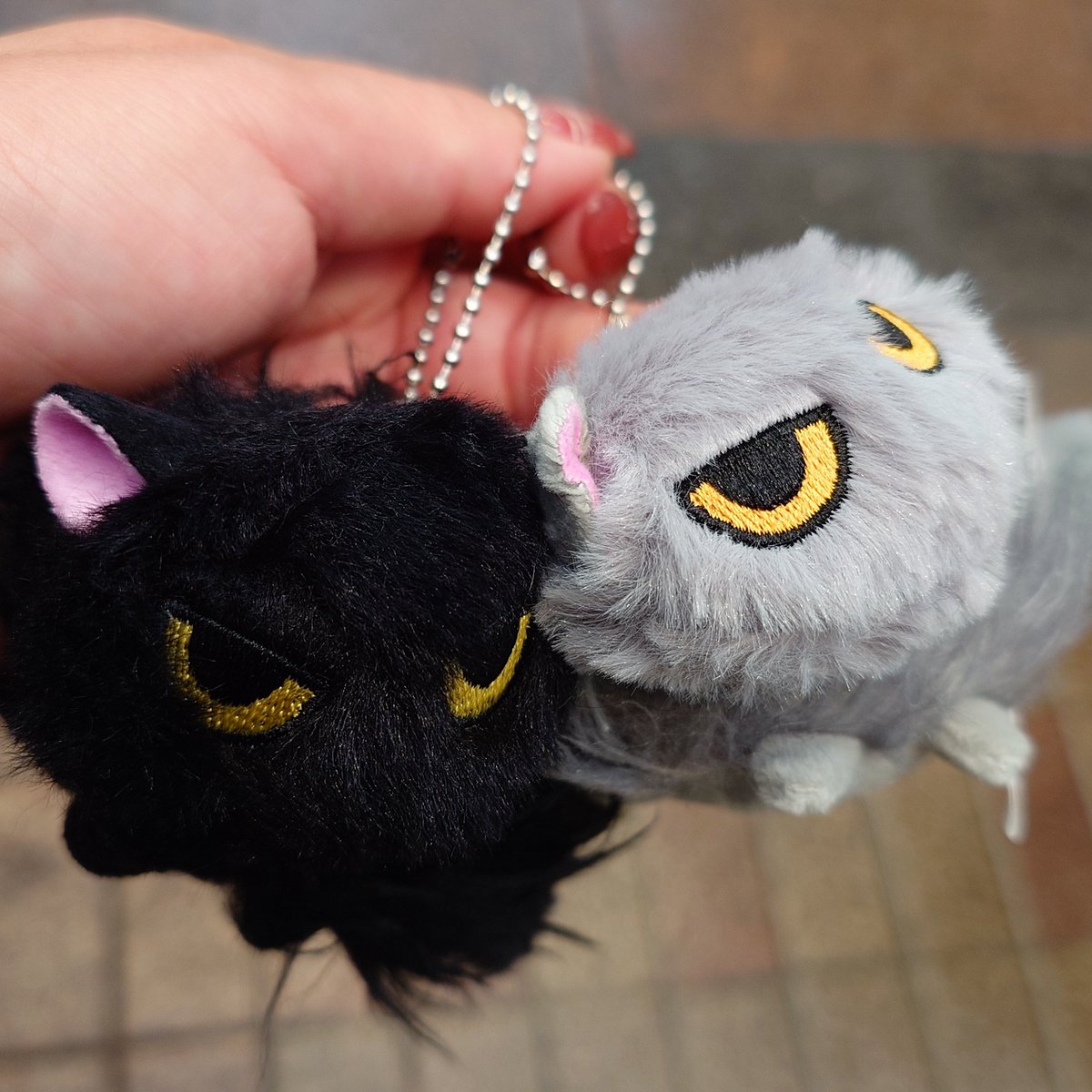 せこなお なつかない猫 黒猫 ぬいぐるみ mokemono 61McMgDrq9L._AC_UF350,