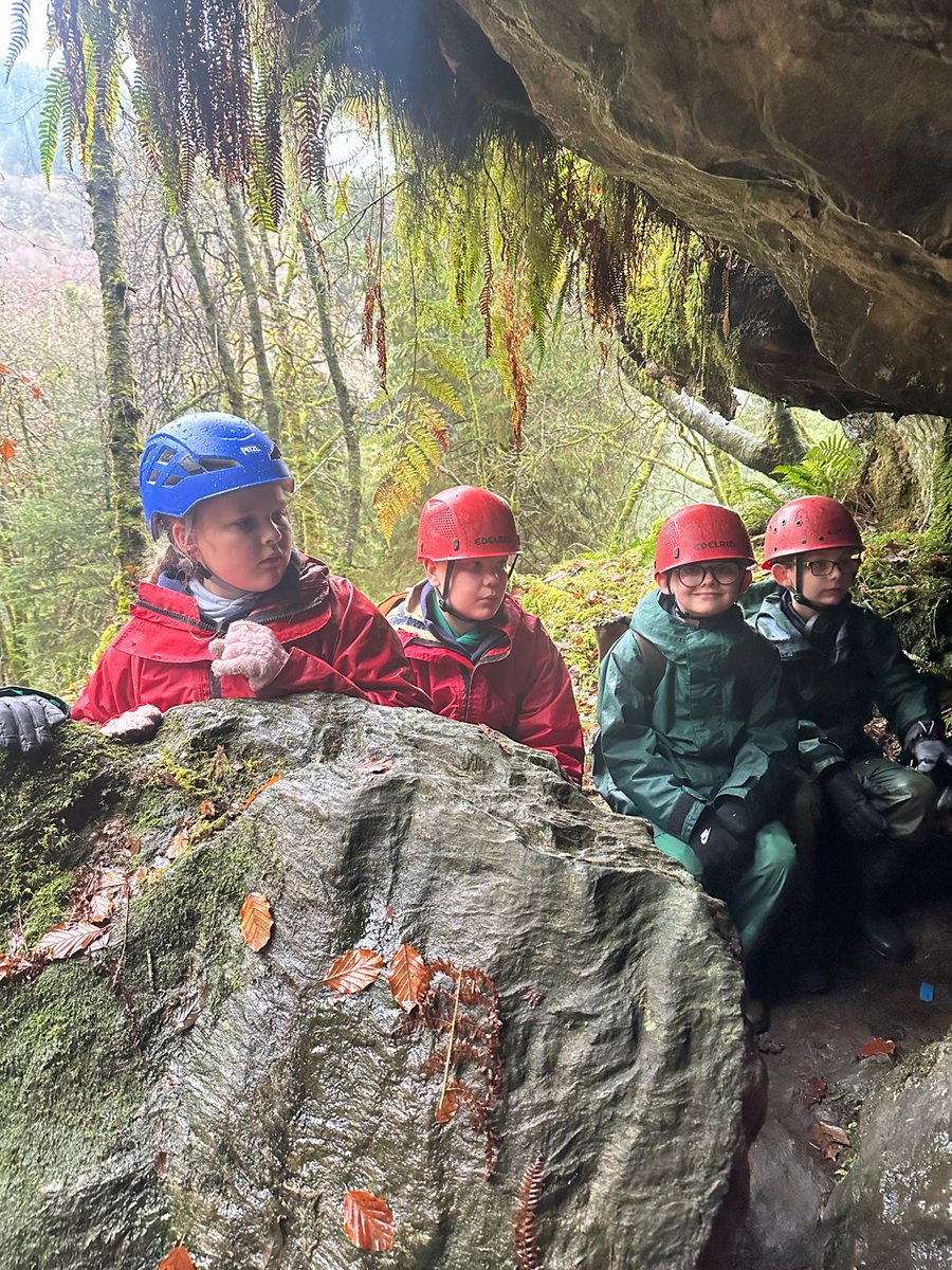 Langfaulds Primary School & LCR tweet media