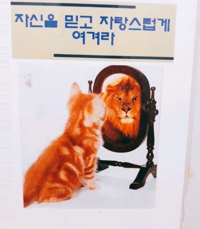 Leap_ragi's tweet image. 벌써 내일이 수능이네요 많이 떨리겠지만 이제껏 공부한 만큼 또 준비한 만큼 열심히 보고 오세요 지금은 많이 걱정되겠지만 막상 봐보면 생각보다 별거 아니라는 마음도 들 거예요 평소처럼 차분하게 준비하면 좋은 결과가 있을 겁니다 모든 수험생 여러분의 행운을 빕니다 다들 화이팅!!😎