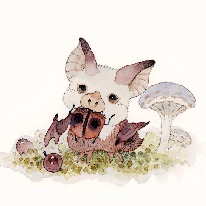 【お知らせ】 #リヴリーアイランド アートギャラリーパークにてイラストを期間限定で展示させて頂きます。 リヴリーさんやエサ虫さん達の生物感が大好きで、暮らしているヘンプクジンチョウと出会った頃の日々を描きました。