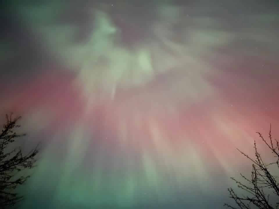 Nora86550493821's tweet image. 👀Looks like Archangel Gabriel about to sound the trumpet! 🎺