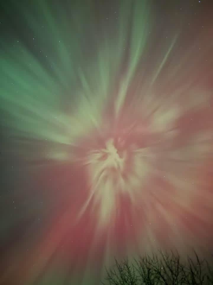 Nora86550493821's tweet image. 👀Looks like Archangel Gabriel about to sound the trumpet! 🎺