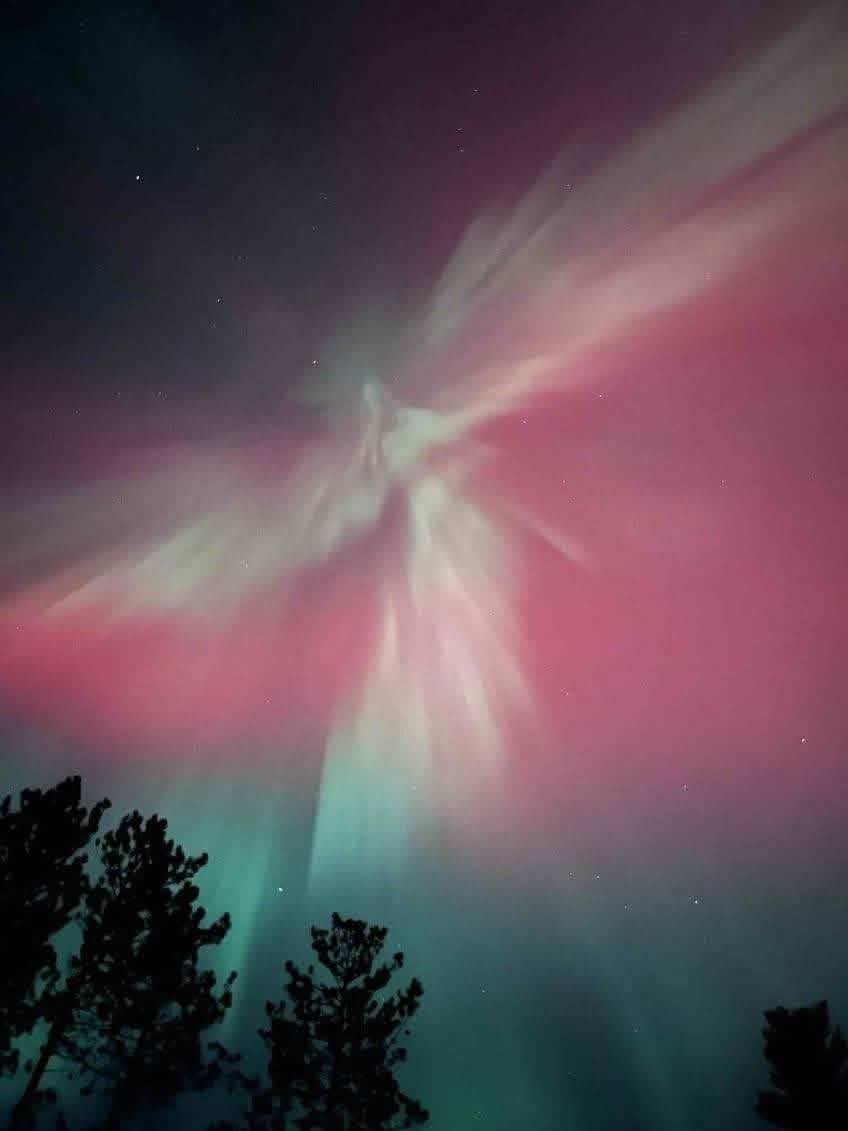 Nora86550493821's tweet image. 👀Looks like Archangel Gabriel about to sound the trumpet! 🎺