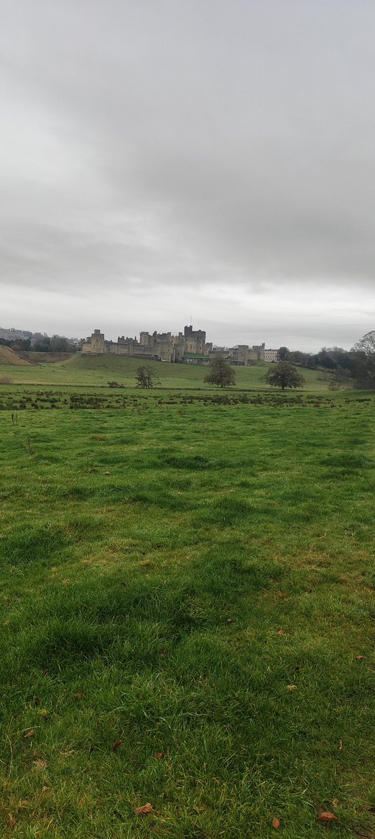 Alan_C_1's tweet image. #Alnwick earlier this morning 
@NorthEastTweets