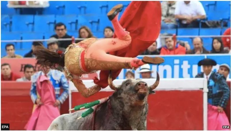“Mexican female bullfighter Karla de los Ángeles gored.”

A 2014 BBC headline.

As we prep for our trip to Mexico for #LasMatadoras, we’re exploring the women who live — and fight — on the edge of danger.🐂🇲🇽 

#MujeresToreras #Tauromaquia #CuidaddeMexico #toros