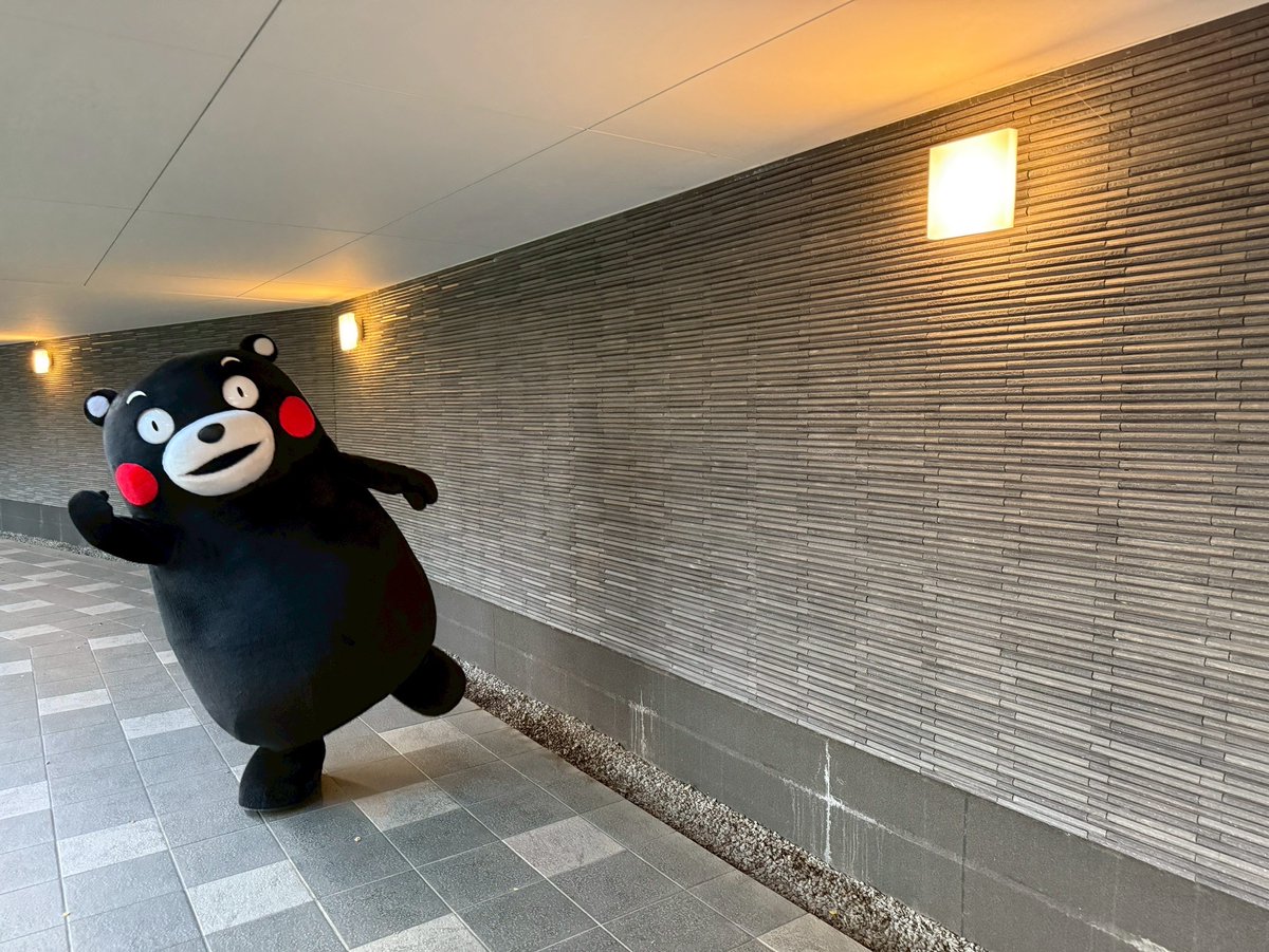 くまモン【公式】 (@55_kumamon) / Posts / X