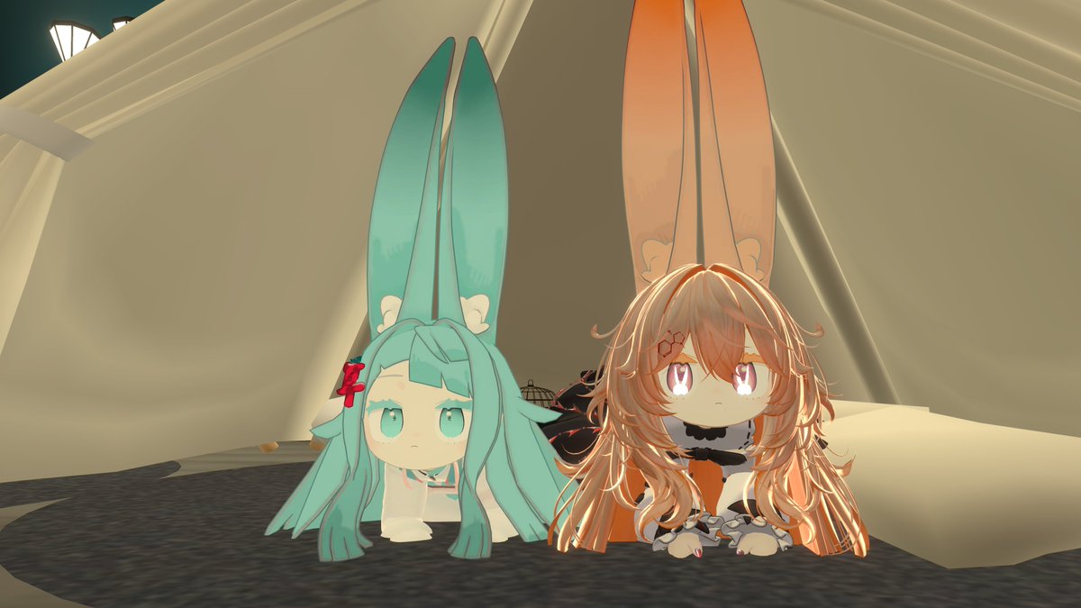 喫茶雨音で作業みみ