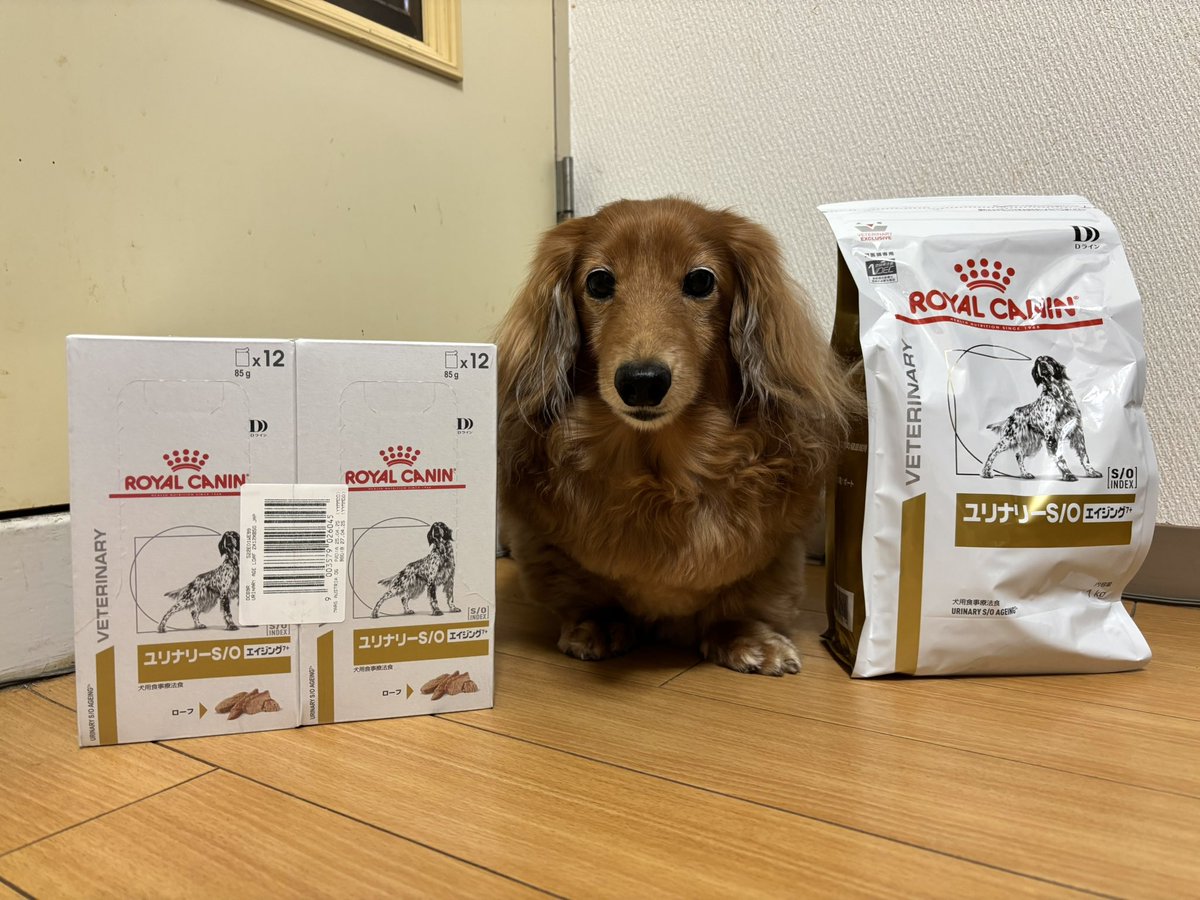 tibi_makiusa's tweet image. 11月12日、アラジンが療法食のドライフードに文句をいってウェットフードも必要になり、公式オンラインストアのロイヤルカナン ベッツホームデリバリーで注文しても送料が無料になるので、初めて利用しました‼️
発送先のロイヤルカナンベテリナリーダイエット公式は、大阪府高槻市にあるんだって😳