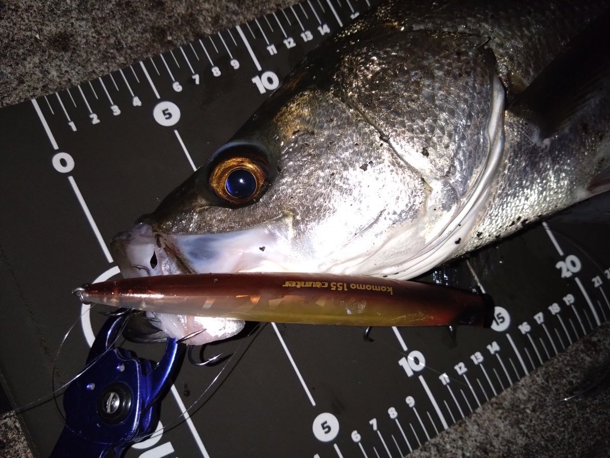 アイマシェイカー ima Shaker - ima lures