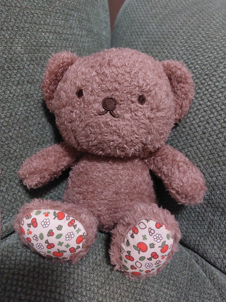 見るだけのつもりだったのに仲間が増えちゃった🐻