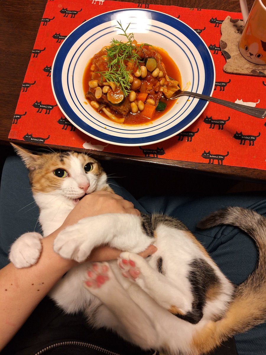 チキンのトマト煮込みたべました