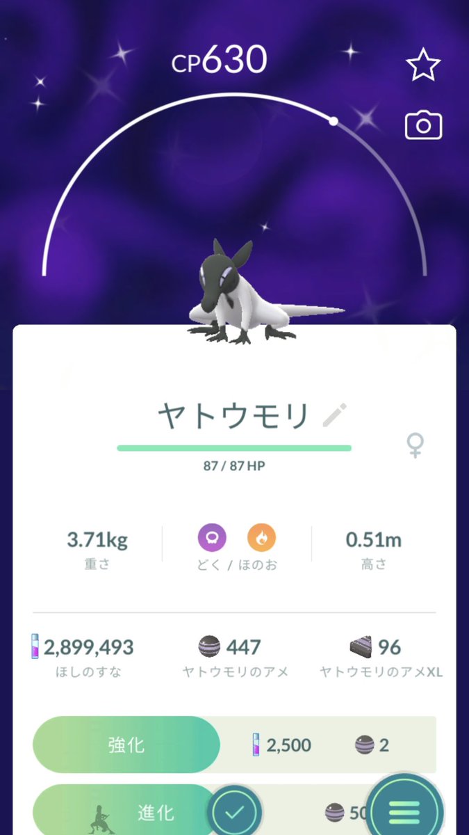 OhasiA's tweet photo. ヤトウモリの色違いメスきた！！！！！！ https://t.co/C3ohOErTmX