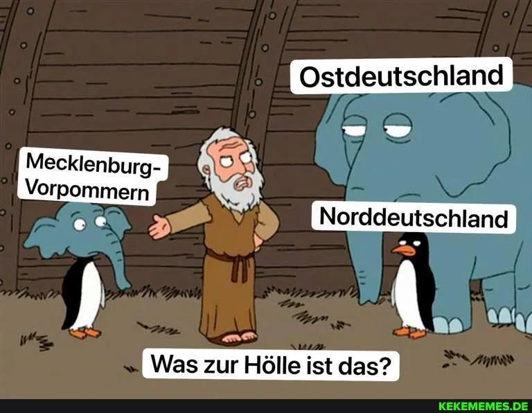 Moin aus dem Nordosten 😁😅!