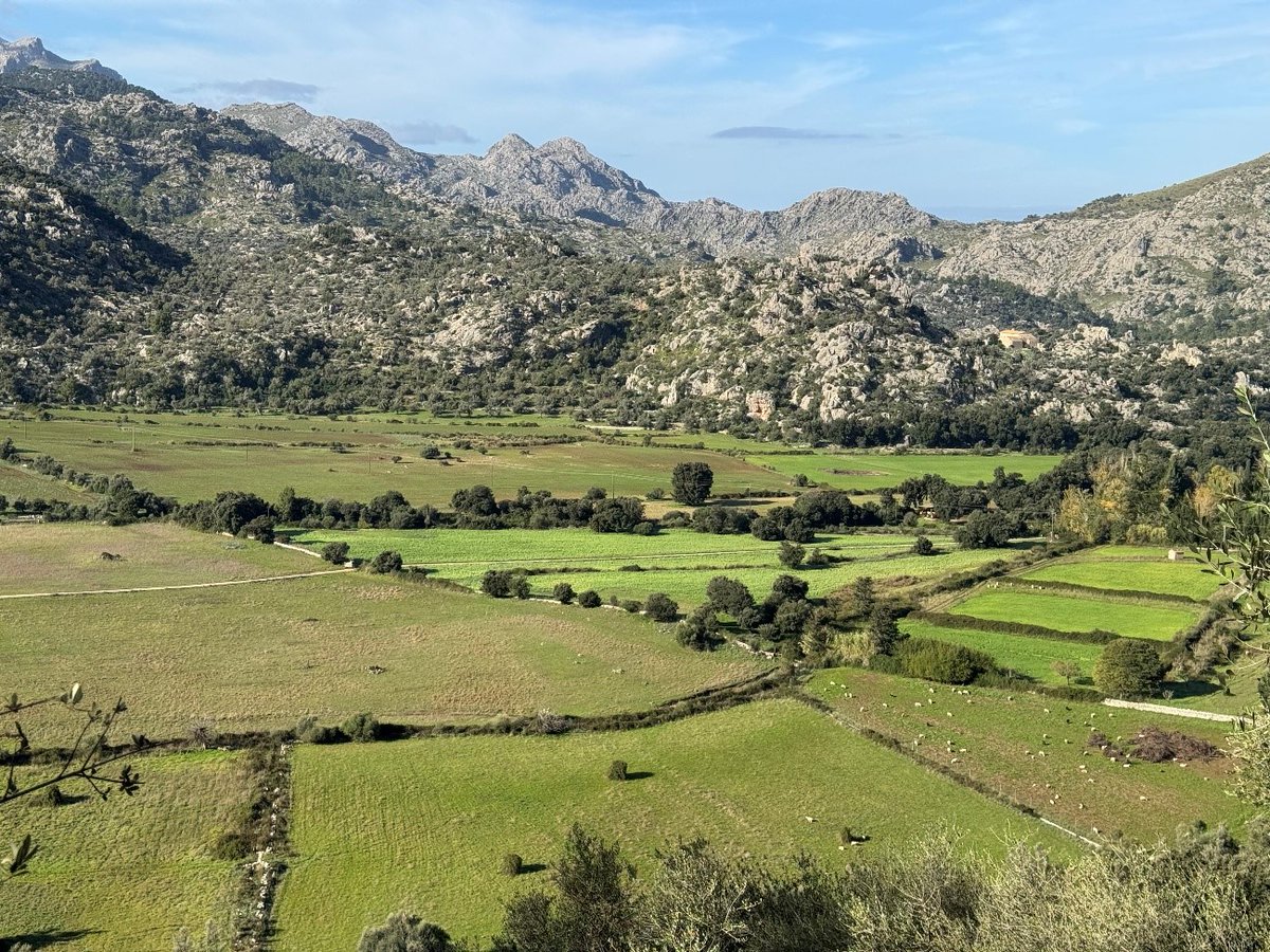 El INCIPIT-CSIC presenta los resultados de las actuaciones arqueológicas que está realizando en yacimientos de Mallorca historiayarqueologia.com/2025/11/el-inc…