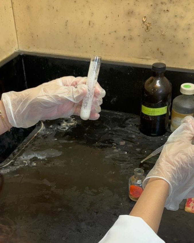 chimgur's tweet image. 🧪☀️